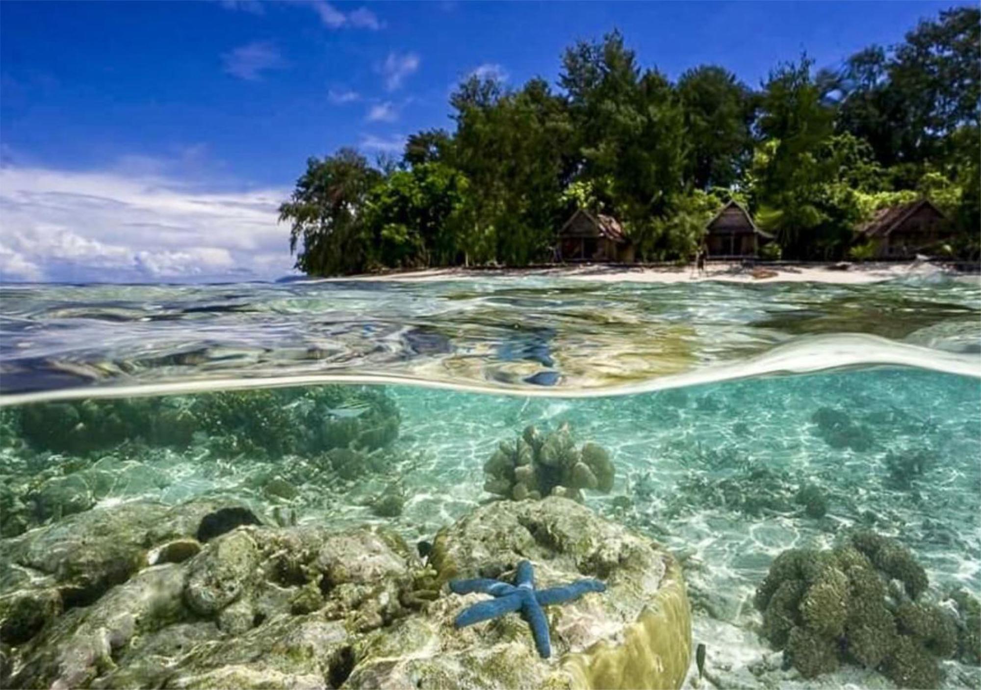 Wai Resort - Raja Ampat Pulau Birie Exteriér fotografie